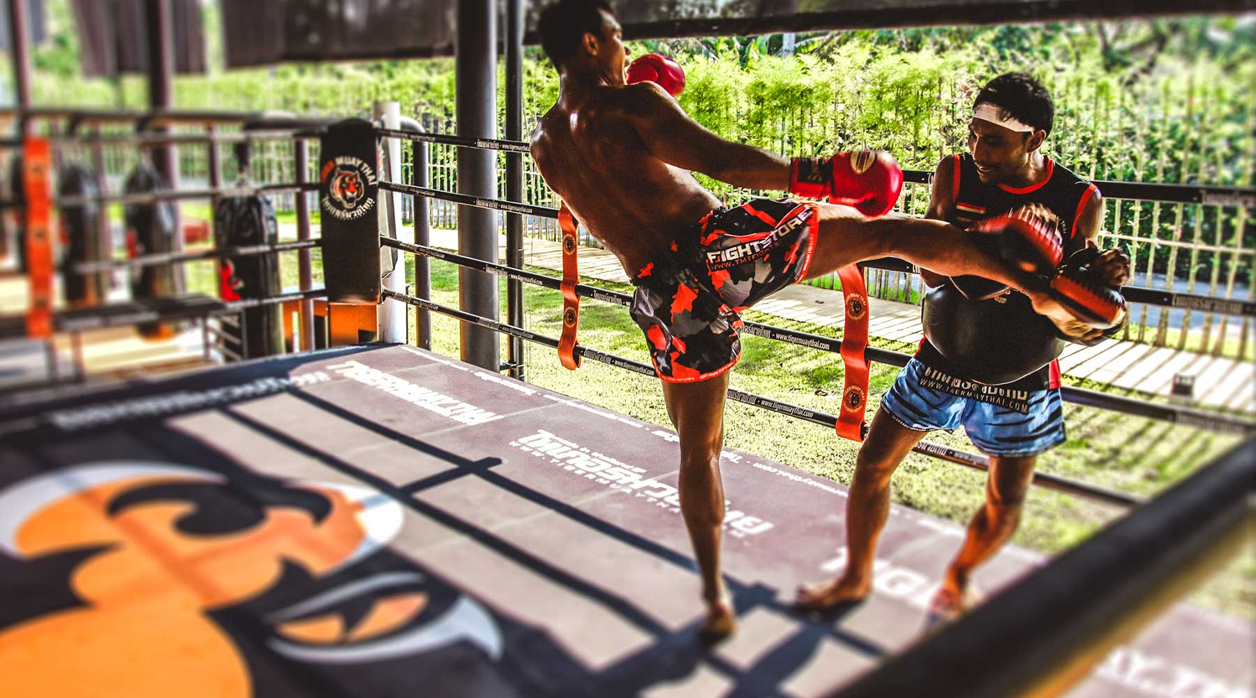 Muay Thai Classes At Tiger Muay Thai Beachside